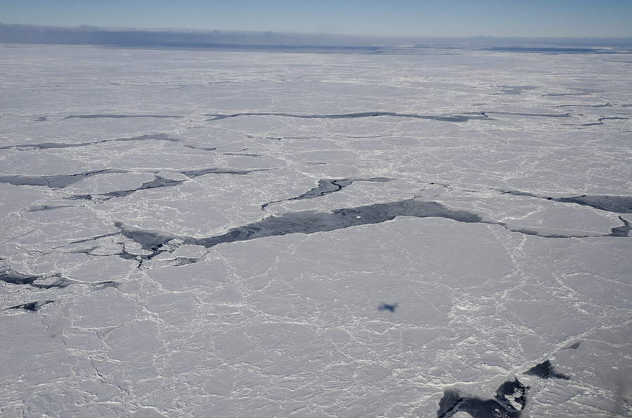 Reportan disminución de hielo marino del Ártico
