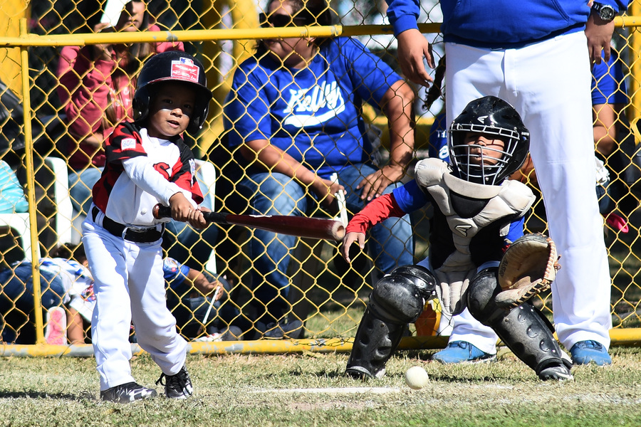 IMD prepara su primera Liga de Beisbol Infantil