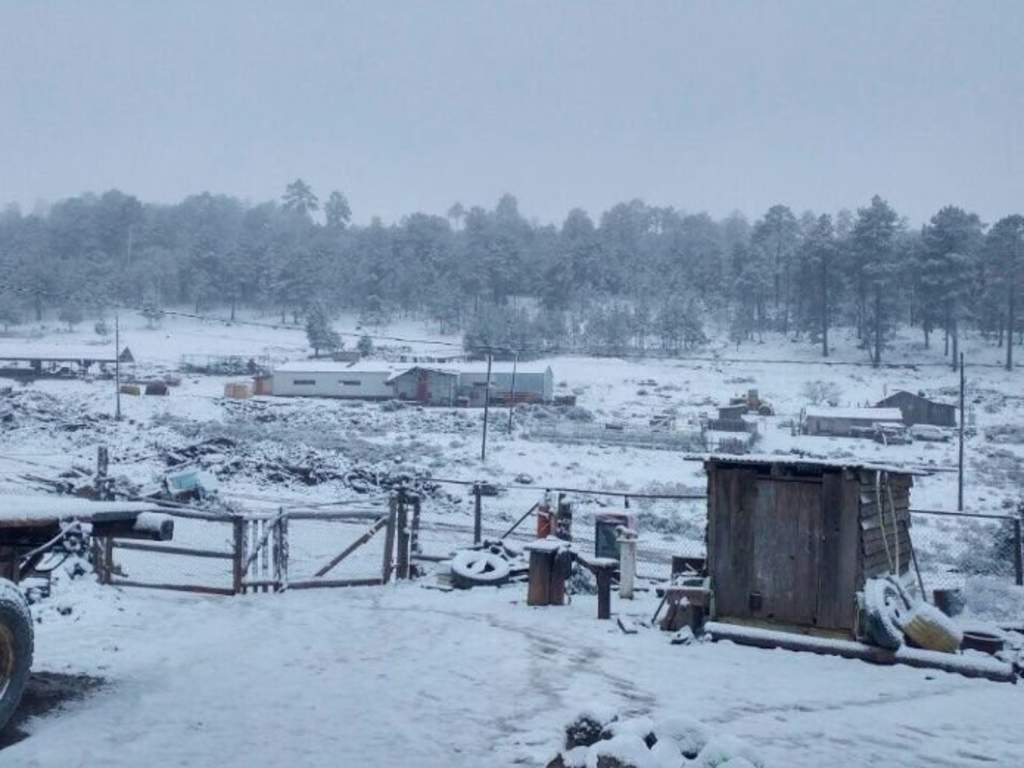 La Rosilla, Durango, registra temperatura de 12.5 grados bajo cero