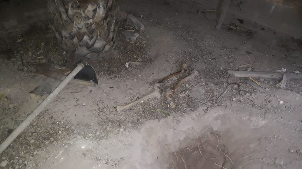 Hallan restos óseos en patio de vivienda