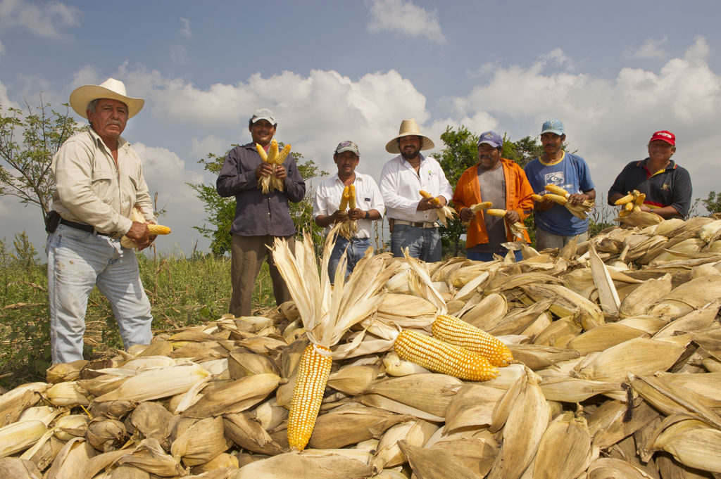 Para los empresarios del sector agropeuario de La Laguna, es muy preocupante que el Gobierno eliminará primero los censos agropecuarios y después ProMéxico. (ARCHIVO)