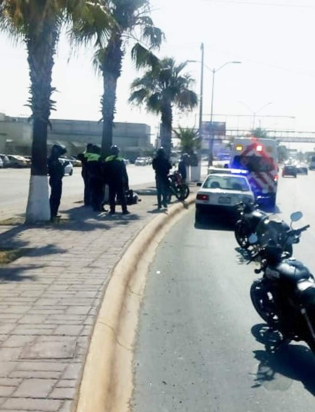 Choca motociclista contra palmera en Gómez Palacio
