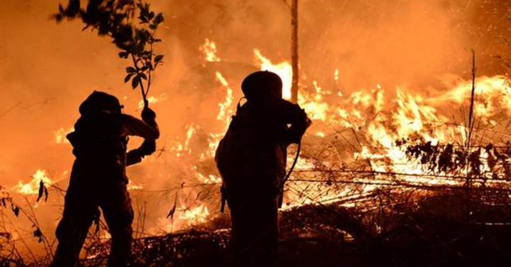 Un operativo de 689 personas fue desplegado en la zona para tratar de apagar las llamas, entre las que 30 bomberos desaparecieron tras un cambio repentino en la dirección del viento. (ESPECIAL)