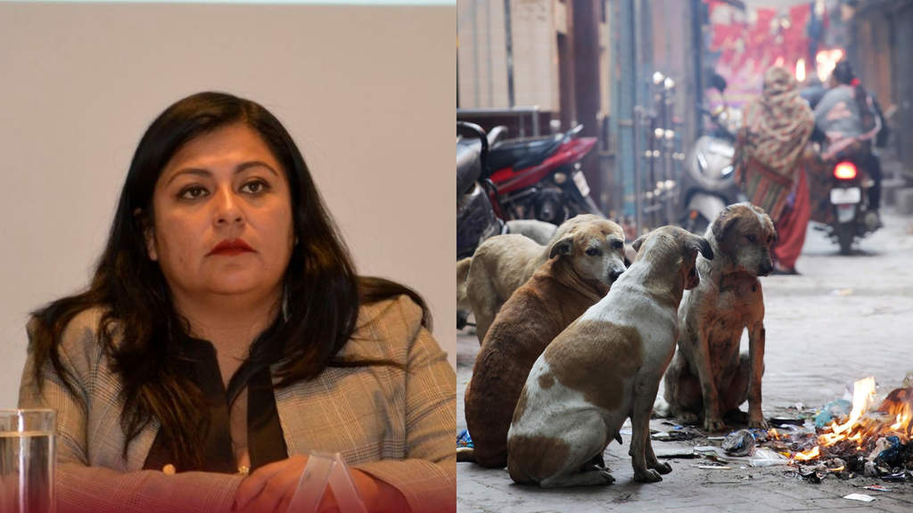 La diputada de Morena, Cristina Tello, presentó un programa de atención animal en la que se pretende eliminar perros y gatos callejeros. (ESPECIAL)