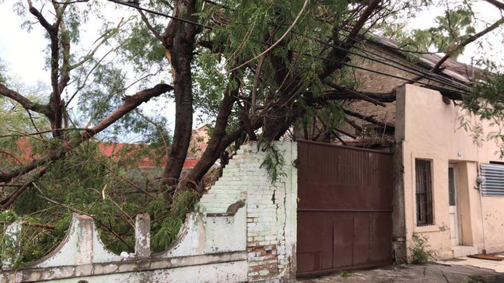 Considerando la gran cantidad de ramas y árboles que fueron derribados por los fuertes vientos, elementos del Ejército Mexicano se sumaron a los trabajos de limpieza.