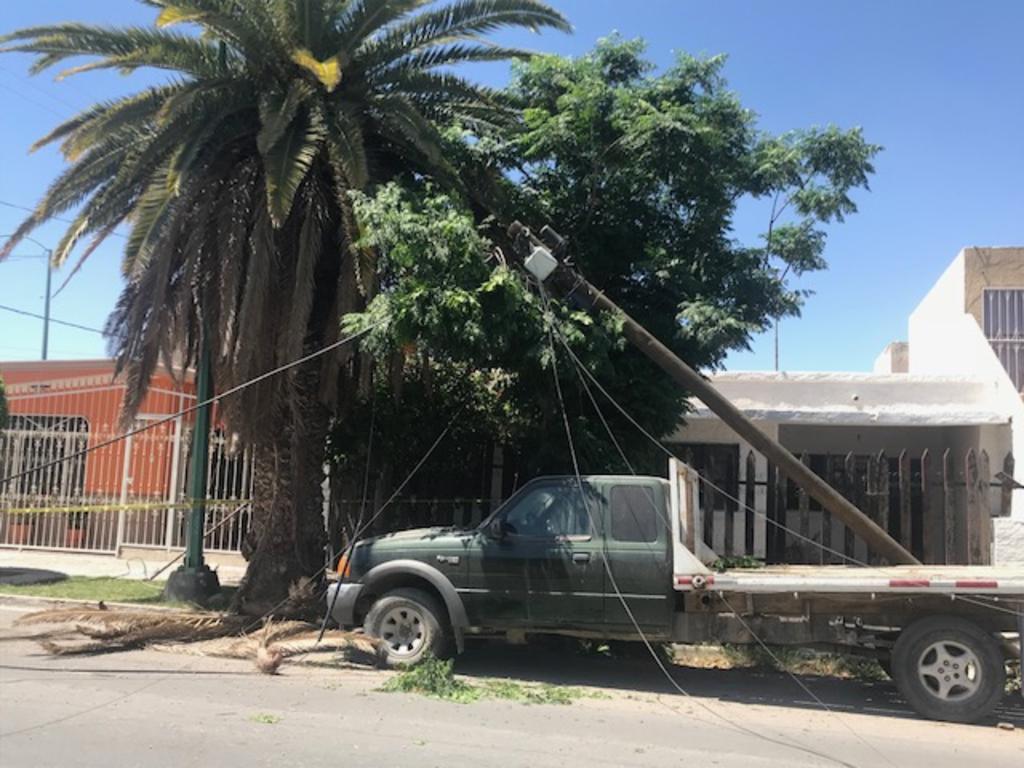 Camión derriba postes con cables de energía y telefonía en Gómez Palacio