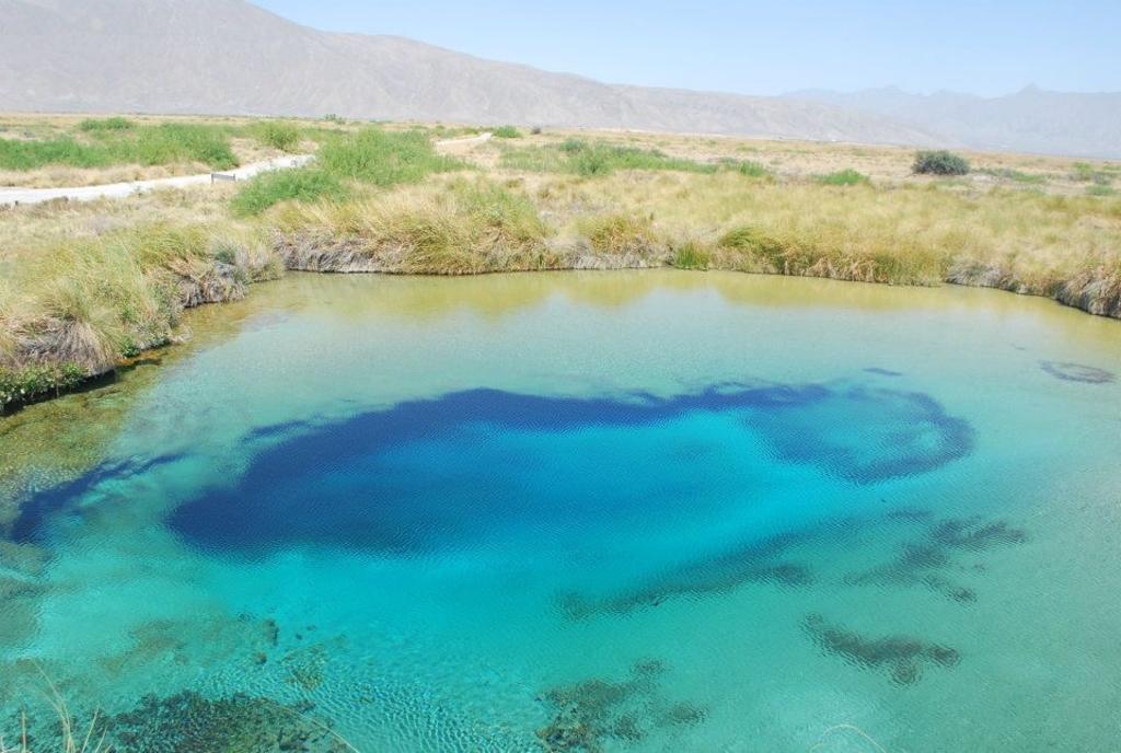 Poza azul, uno de los cuerpos de agua que se encuentran en el valle de Cuatro Ciénegas, en el desierto de Coahuila. 