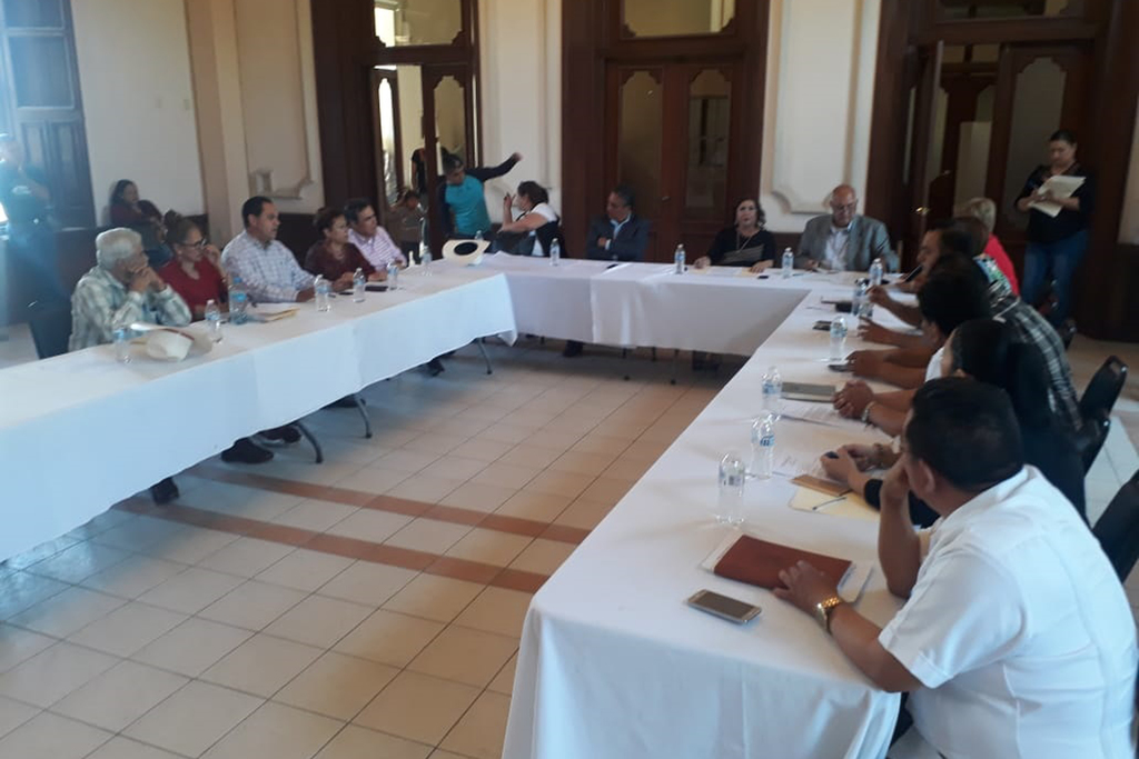La regidora del PAN, Angélica Machado, hizo un exhorto a todo el Cabildo a respetar el acuerdo aprobado del blindaje electoral. (EL SIGLO DE TORREÓN)