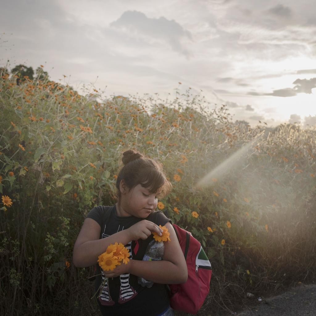 Una niña recoge flores durante el día de una caminata de 50 kilómetros de la caravana migrante. (WORLD PRESS PHOTO-EFE)