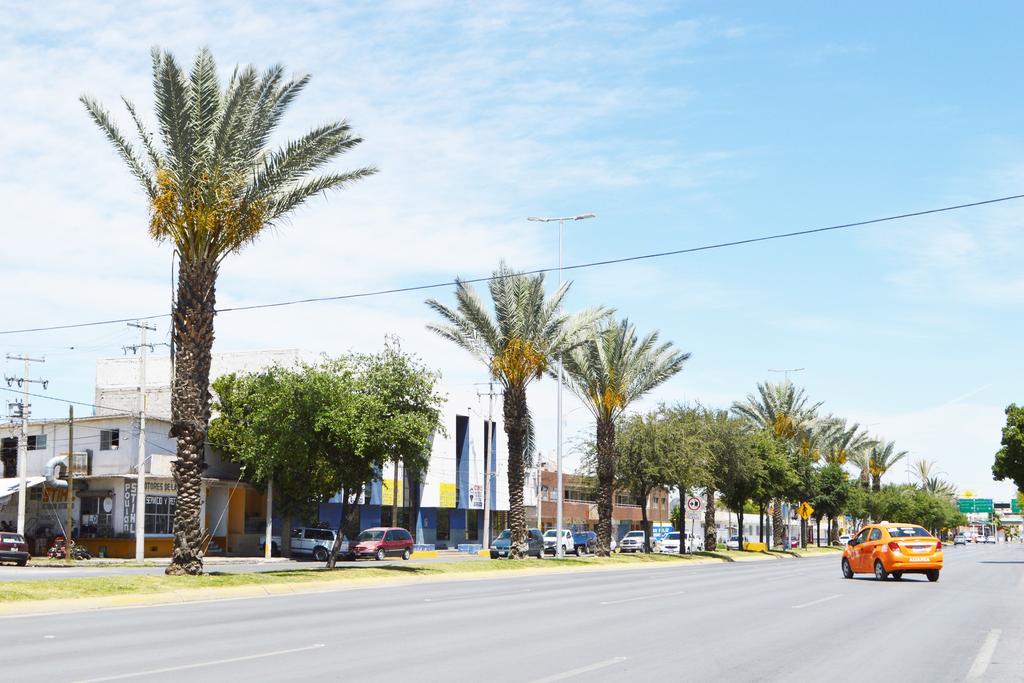 Debido al 'amarillamiento letal', Medio Ambiente en Torreón ha tenido que remover 15 palmas en el bulevar Independencia. (EL SIGLO DE TORREÓN) 