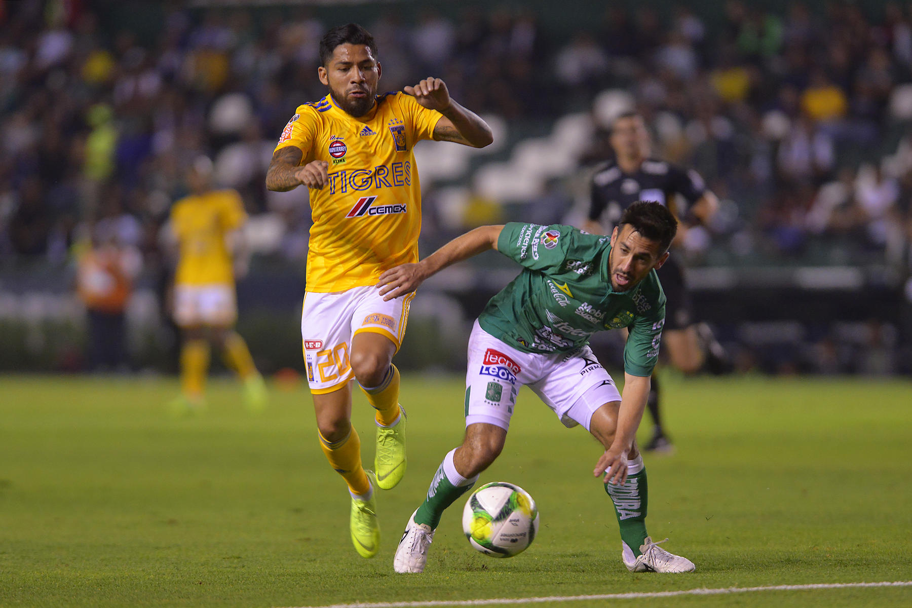 Las escuadras felinas consiguieron este fin de semana su boleto a la Liguilla por el título del Clausura 2019. (Jam Media)