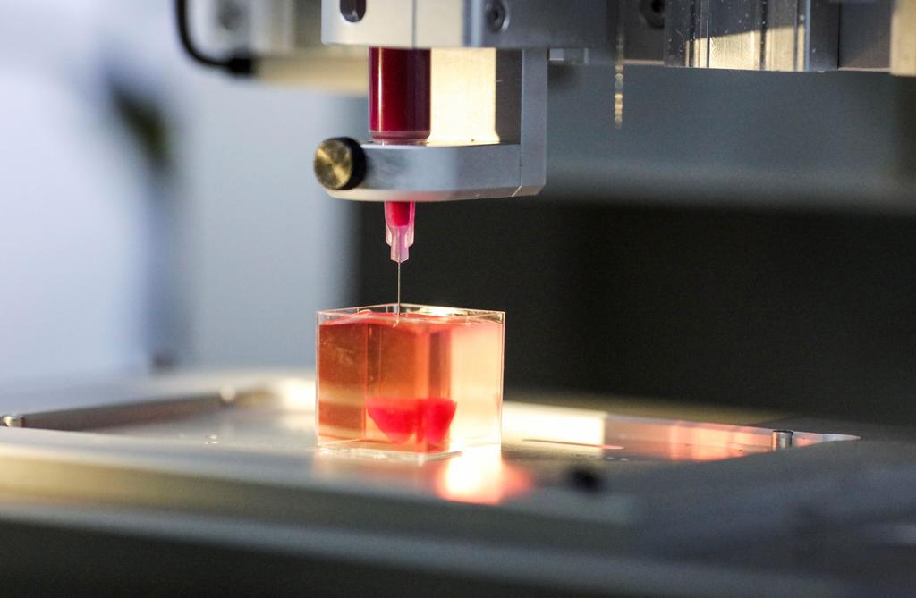 Presentan primer prototipo de corazón 3D con tejido humano