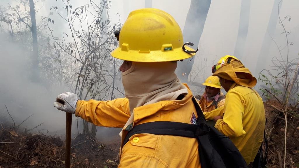 Van 113 incendios forestales en Morelos