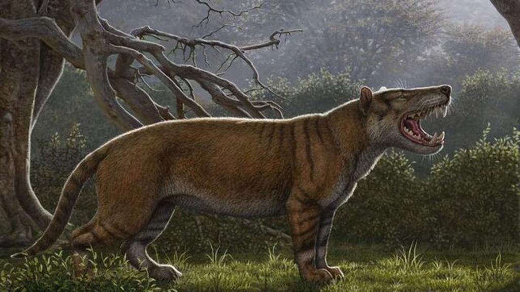 Identifican fósil del 'gran león africano'
