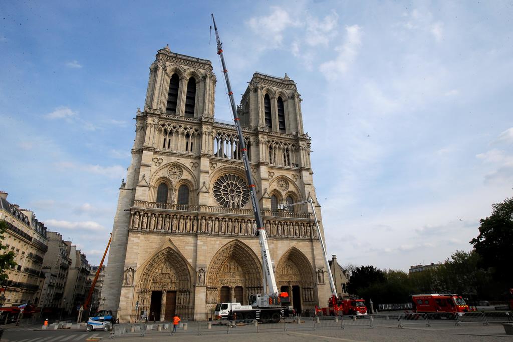 Zumbido de abejas persistirá en Notre Dame