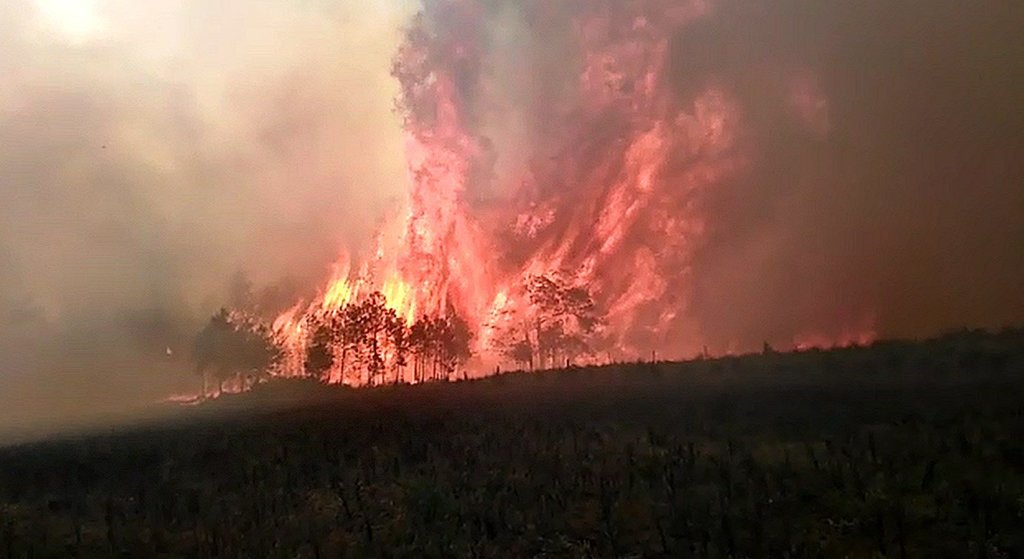 Un incendio forestal incontrolable arrasó en marzo con cientos de hectáreas de bosques de pino del Valle y Cofre de Perote.