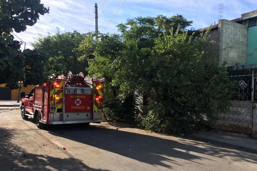 El reporte de un incendio en la colonia Villa Jacarandas movilizó a las corporaciones de rescate y seguridad de Torreón.