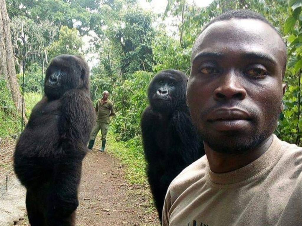 La fotografía fue tomada en Congo. (INTERNET)