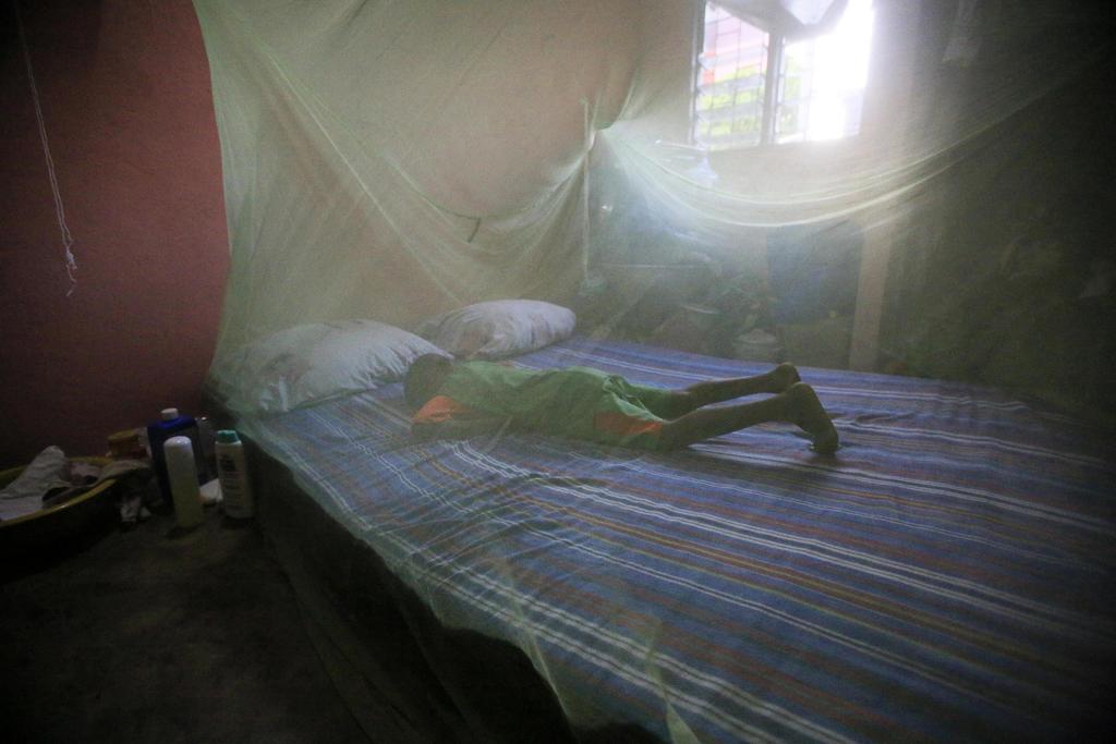 Según datos de la OMS, aproximadamente el 50 por ciento de la población mundial está expuesta al paludismo. (ARCHIVO)
