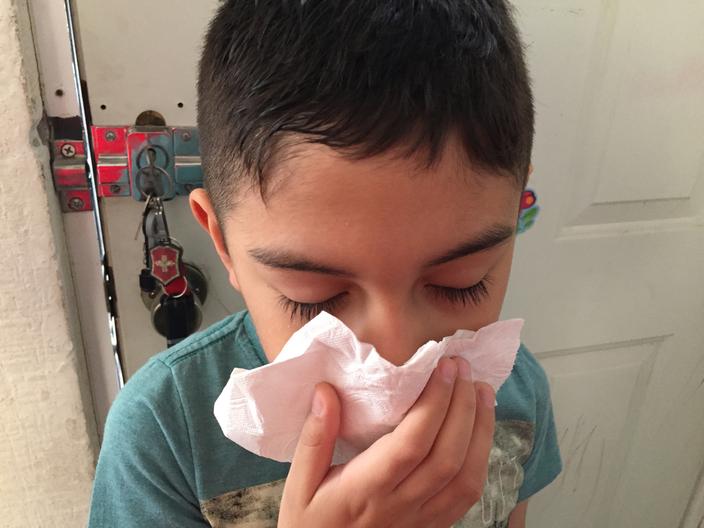 Los menores se encuentran entre los más afectados por la rinitis alérgica de acuerdo con el IMSS.