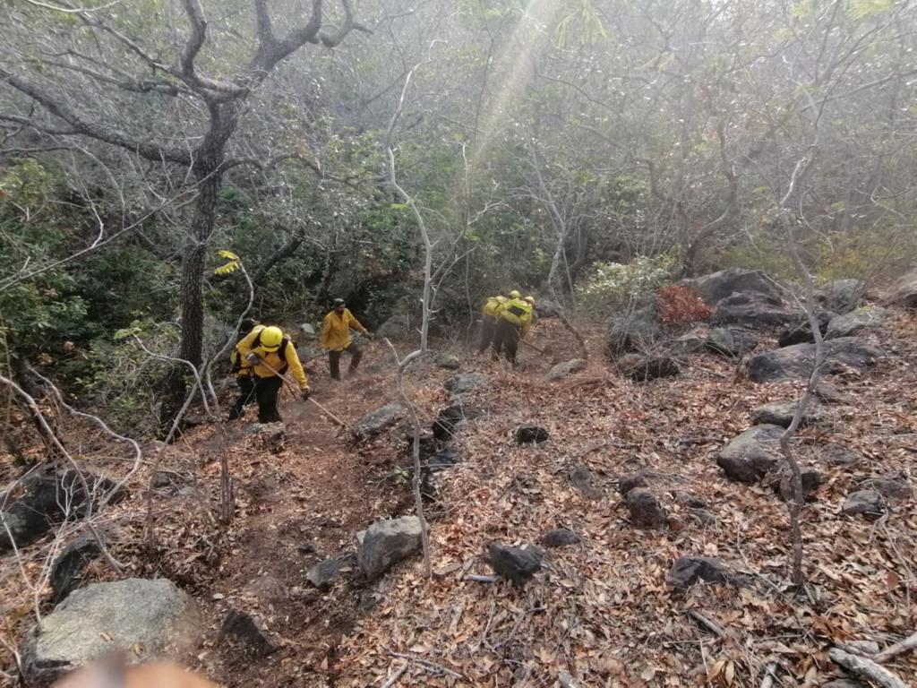 Tres incendios forestales se registran en el municipio de Acultzingo, en la zona serrana central del estado de Veracruz. (TWITTER)