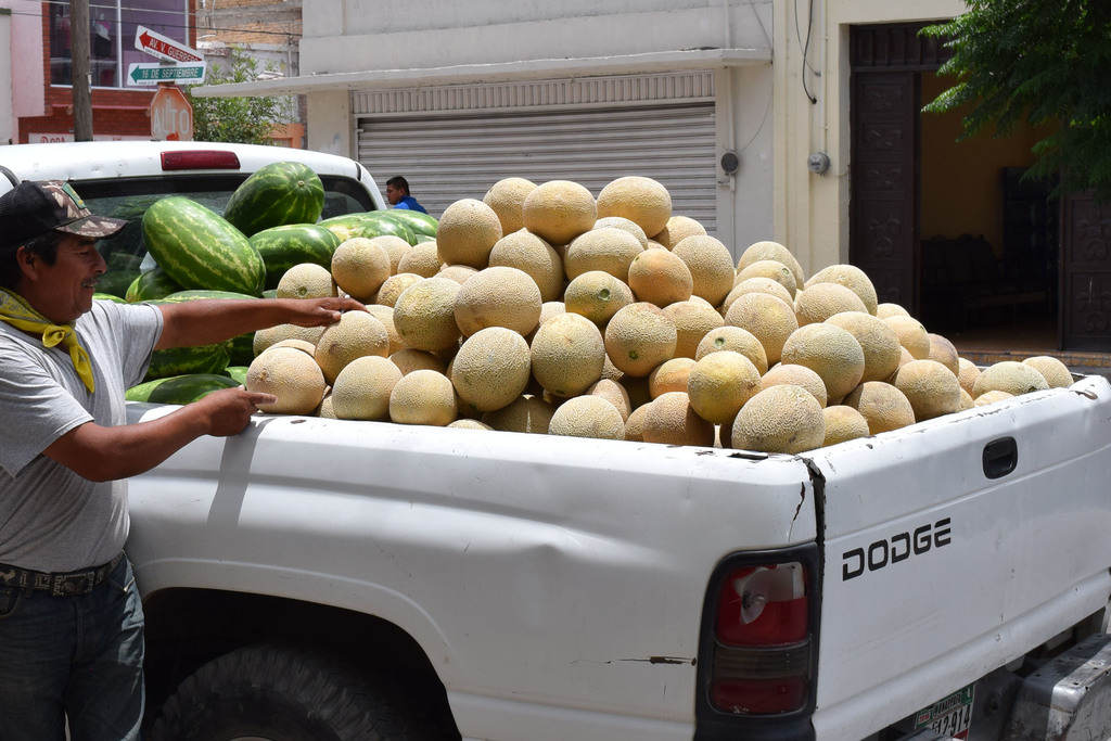 El melón de Matamoros es reconocido por su alta calidad. (EL SIGLO DE TORREÓN) 