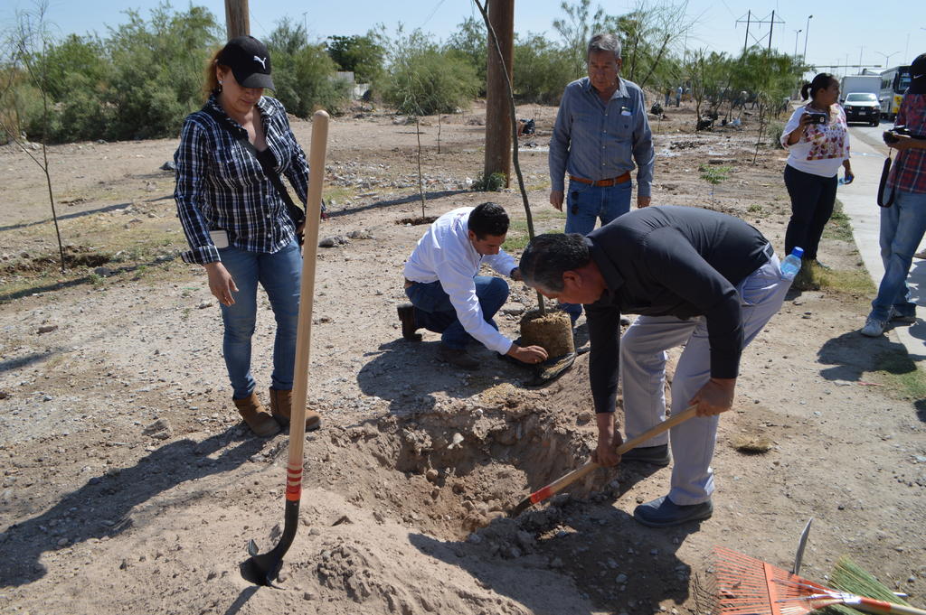 Se detallaron resultados del primer cuatrimestre de 2019 de las Jornadas de Limpieza Sabatinas en Torreón, acciones organizadas entre diversas direcciones y dependencias en favor del ordenamiento, aseo y medio ambiente de los espacios públicos en el municipio. (EL SIGLO DE TORREÓN)