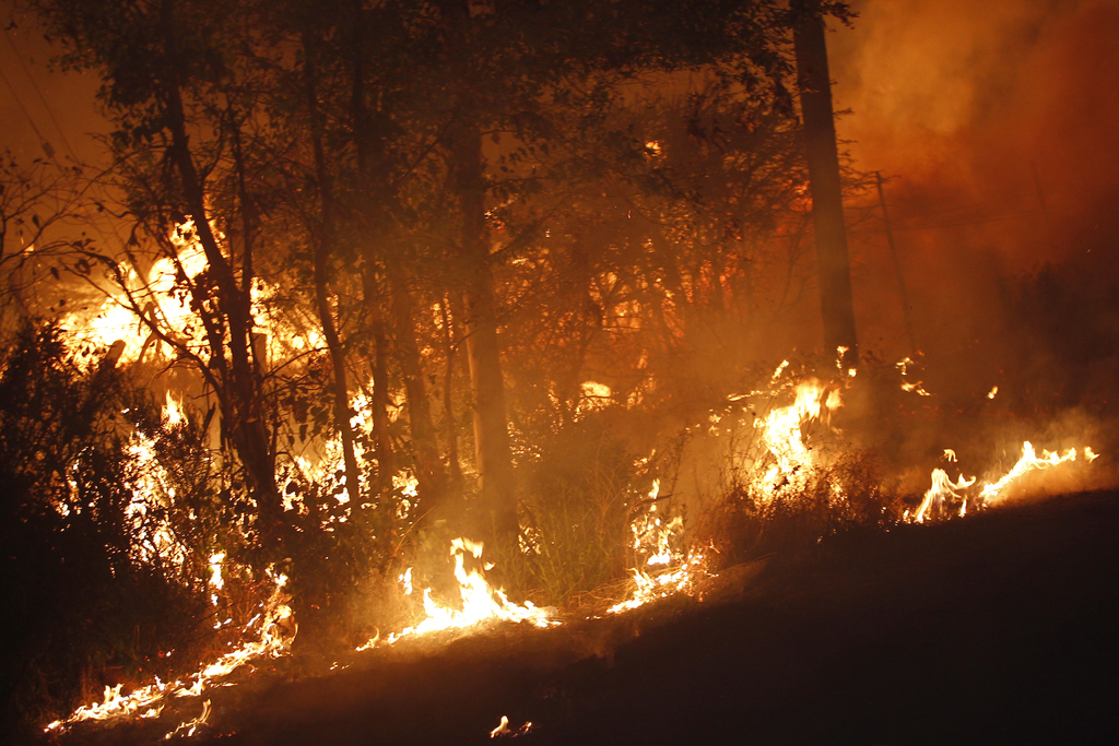 Fuego ha afectado mil 858 hectáreas