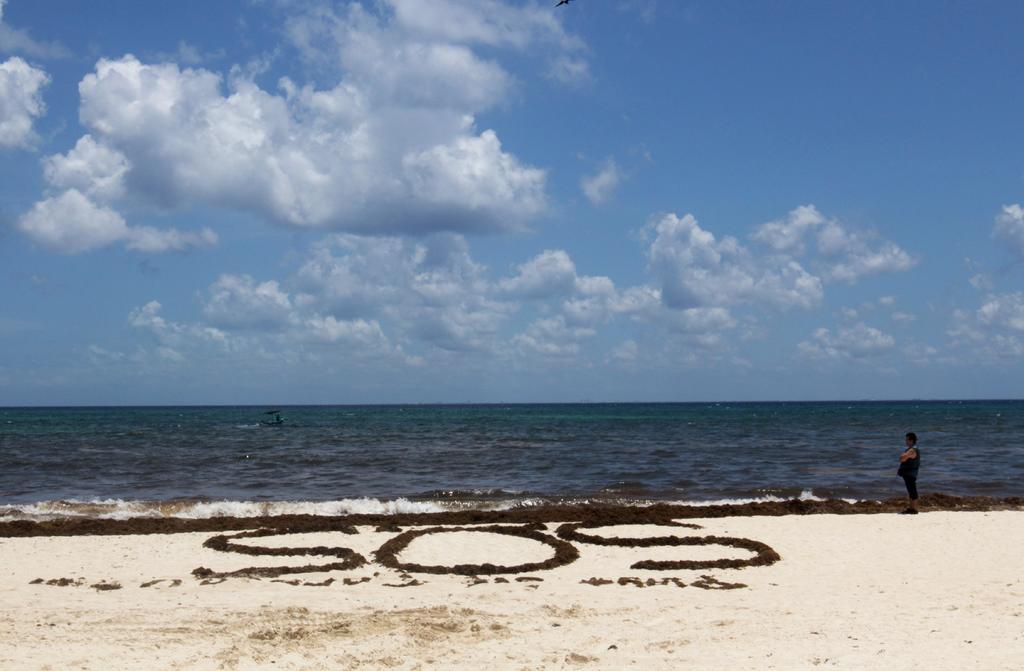 Para la limpieza y retiro del sargazo en siete playas del Caribe Mexicano y la colocación de barreras de contención y desvío de la macro alga en el mar, el gobierno de Quintana Roo informó que gastó poco más de 322.5 millones de pesos, provenientes de recursos federales, estatales y municipales. (ARCHIVO)