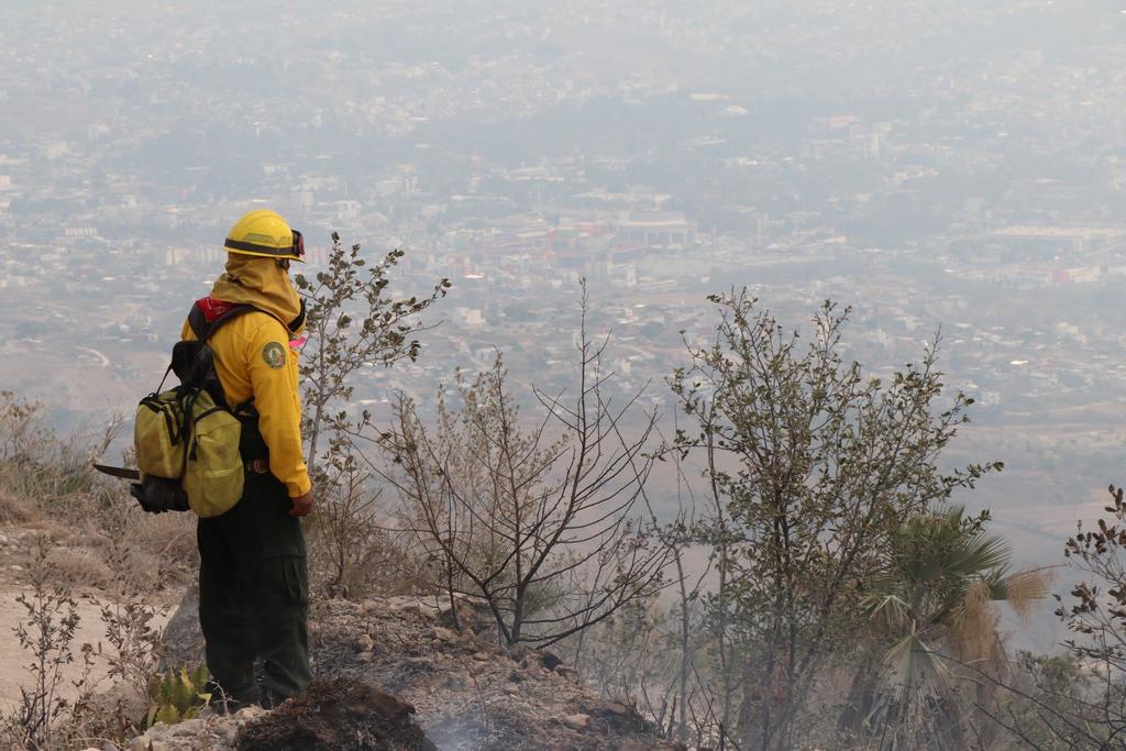 Chilpancingo amaneció de bajo del humo. Un incendio forestal en la comunidad de El Calvario, en la periferia de la ciudad, está afectando a unas 200 hectáreas. (EFE)