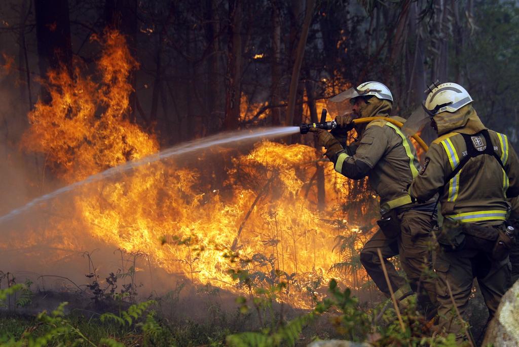 Mayo es el mes con más incendios forestales