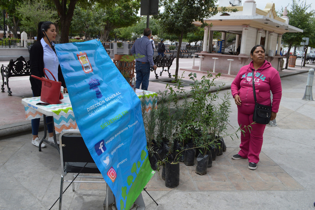 Buscan superar las metas de reforestación en Torreón de 2018, cuando se plantaron 6 mil 150 árboles en todo el municipio.