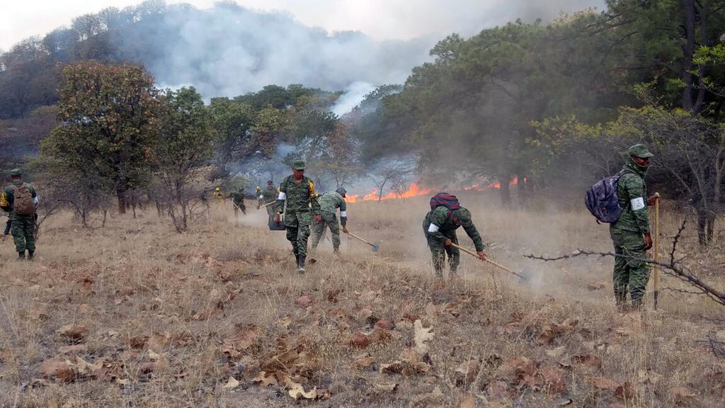 En el Incendio Forestal Bosque La Primavera participan 308 personas, 92 vehículos y un helicóptero. (ARCHIVO)