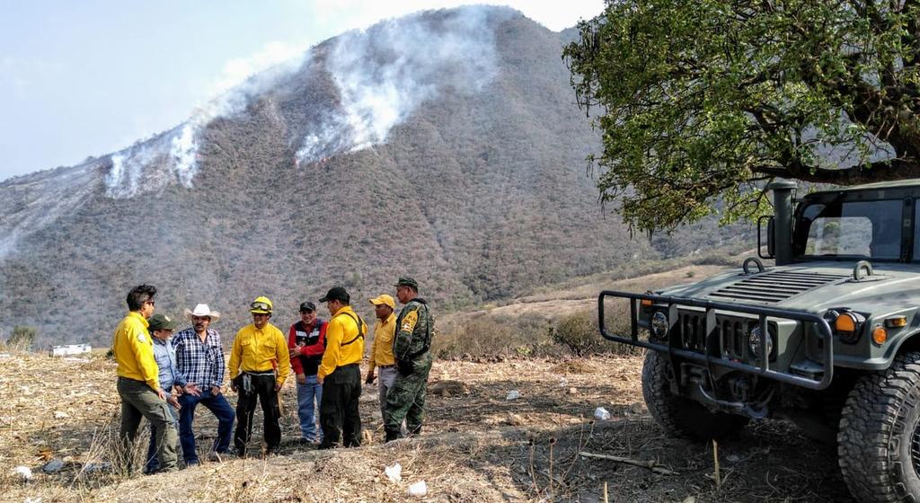 En Veracruz 11 incendios forestales se encuentran activos, aunque ninguno de grandes dimensiones. Autoridades competentes se encuentran en el proceso de control y liquidación. (TWITTER)