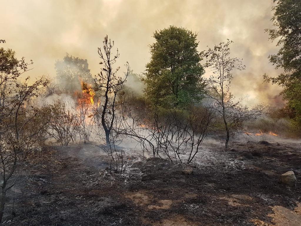 Batallan con nueve incendios forestales en Puebla