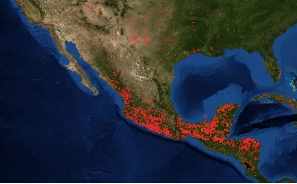 Las entidades federativas con mayor afectación fueron Durango, Jalisco, Quintana Roo, Chihuahua y Zacatecas, que representan 86 por ciento del total de incendios de la semana. (NASA)
