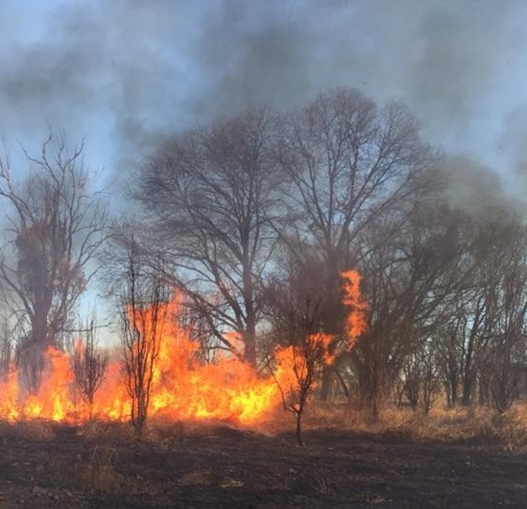 Inquietan incendios forestales en el país