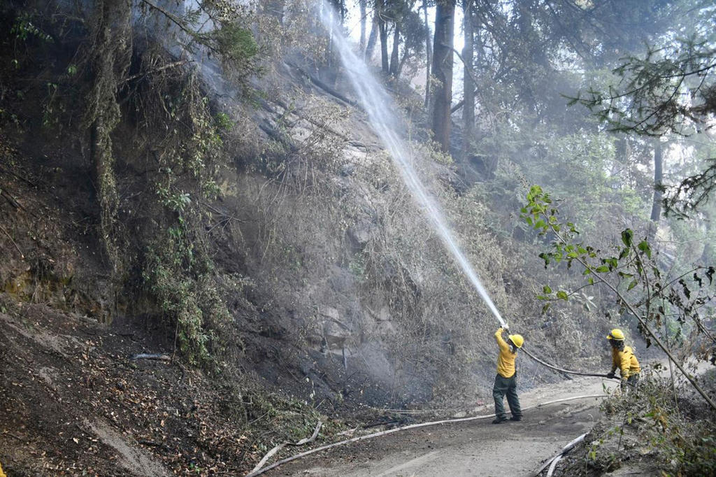 México enfrenta una temporada de incendios forestales particularmente grave, y en lo que van del año se han registrado 4,425 conflagraciones, informaron el miércoles las autoridades. (ARCHIVO)