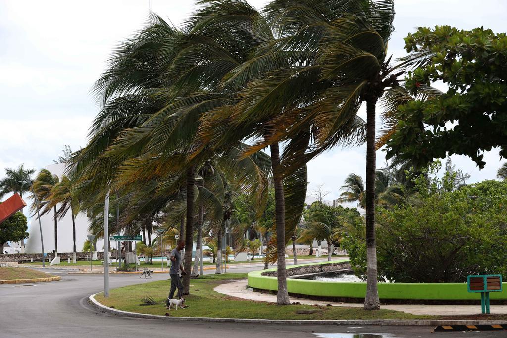 Se esperan 33 ciclones tropicales para 2019: Conagua