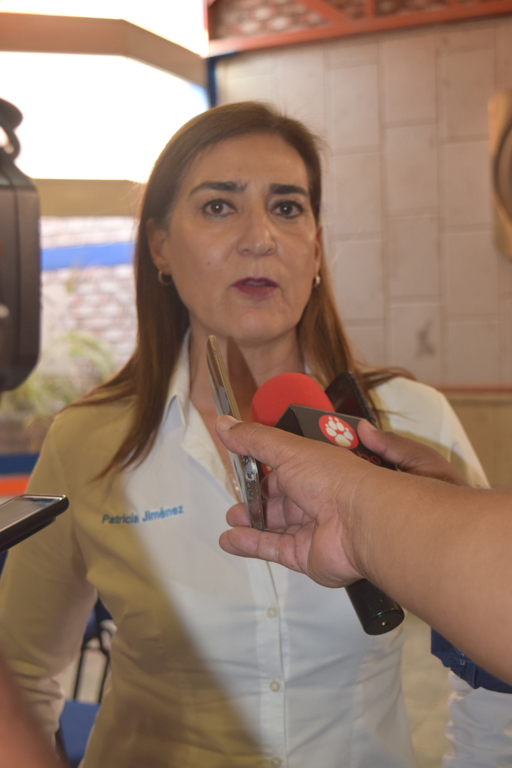 Patricia Jiménez sostuvo que el apoyo de dichos personajes a Marina Vitela, no afectan la campaña del PAN.