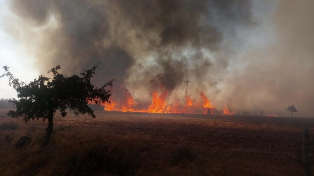 El incendio ha consumido 80 hectáreas. (ESPECIAL) 