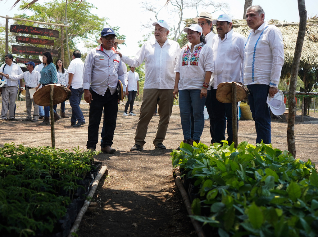 El presidente Andrés Manuel López Obrador visitó el Vivero Forestal Militar 'Balancán', en el ejido Apatzingán, Tabasco. (NOTIMEX)