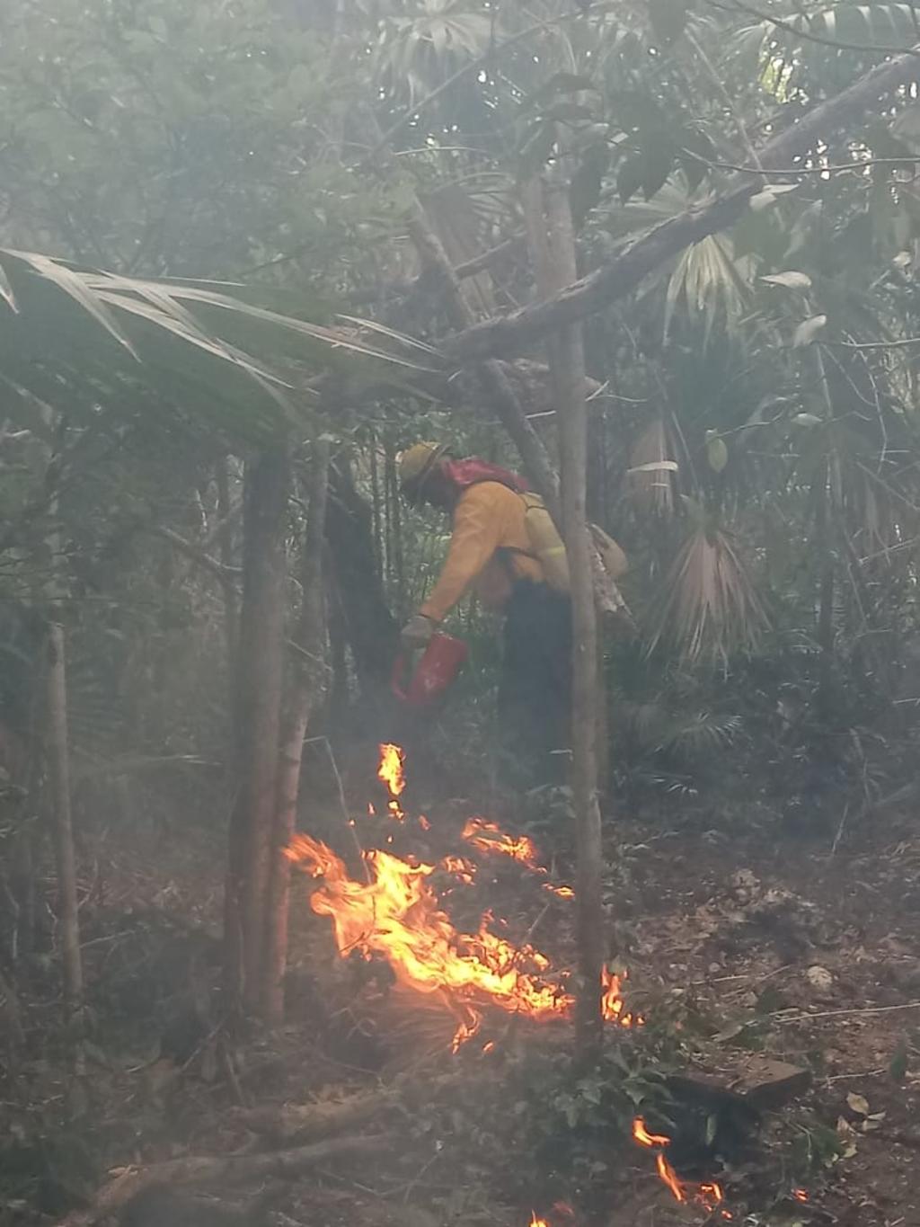 En este momento se registran 66 incendios forestales en 19 entidades del país, que comprometen 23 mil hectáreas, informó David León Romero, coordinador Nacional de Protección Civil. (TWITTER)
