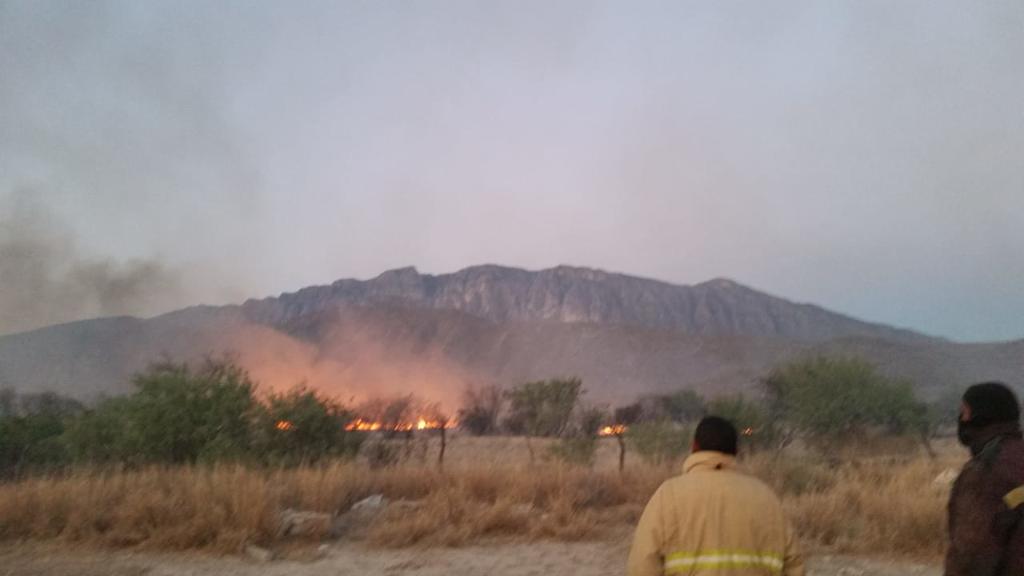 Los bomberos, con el apoyo de los empleados de la empresa, lograron luego de tres horas de trabajo sofocar el incendio y asegurar el área. (EL SIGLO DE TORREÓN)