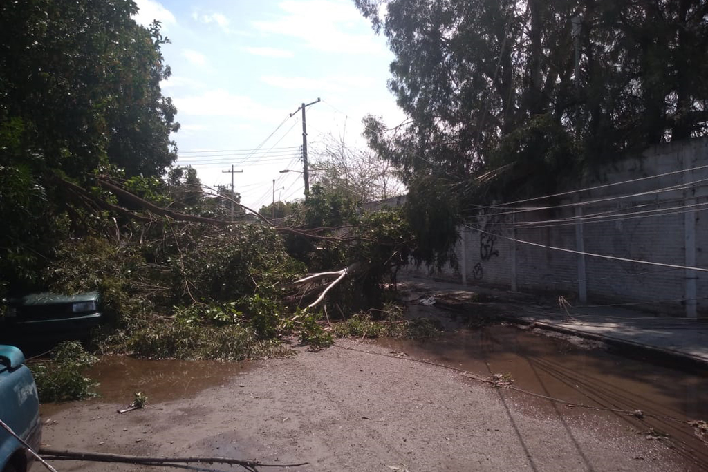Además de las afectaciones a los equipos del Sideapa, hubo postes y cables caídos en distintas calles de Gómez Palacio.  (EL SIGLO DE TORREÓN) 