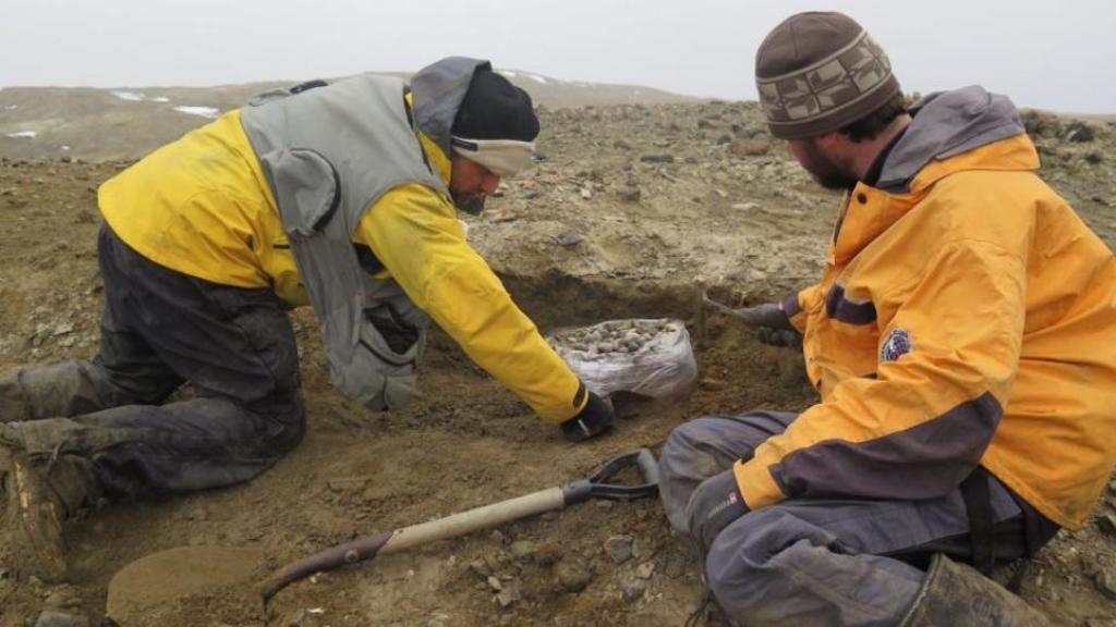 Este espécimen de reptil gigante fue descubierto en 1989 en la isla antártica Marambio, los restos recién se terminaron de rescatar en 2017. (ESPECIAL)