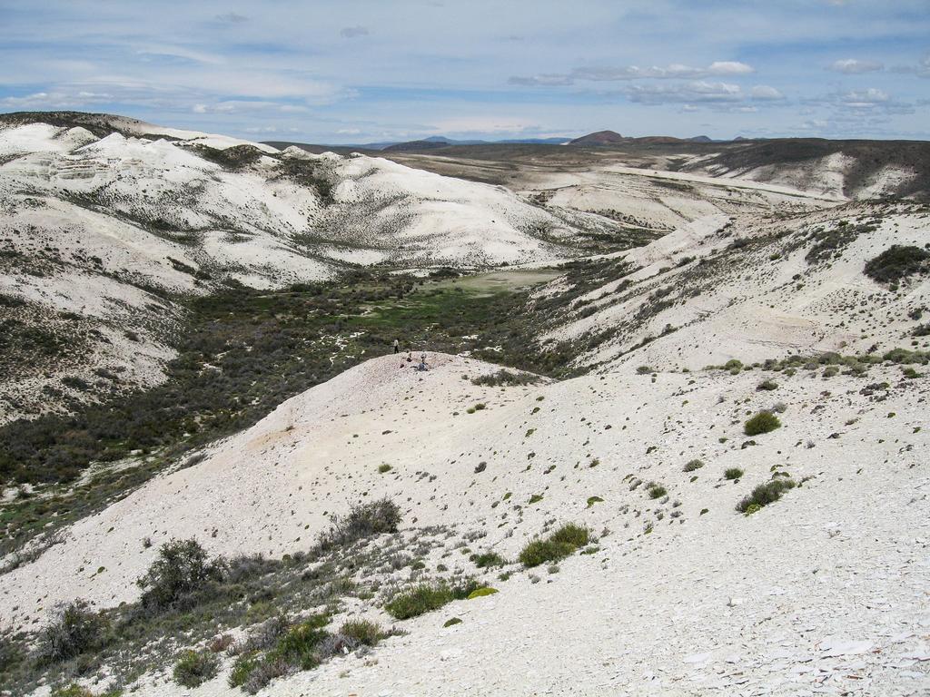 Robles y hayas fósiles cuentan historia familiar en la Patagonia