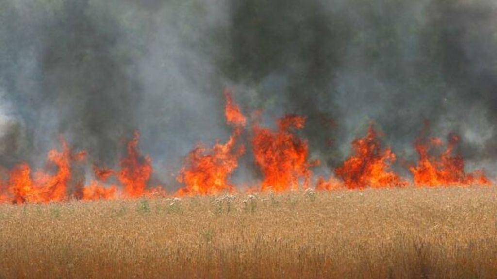 Según la Defensa Civil iraquí, se han quemado un total de 1,318 hectáreas en 94 incendios registrados en Saladino. (AGENCIAS)