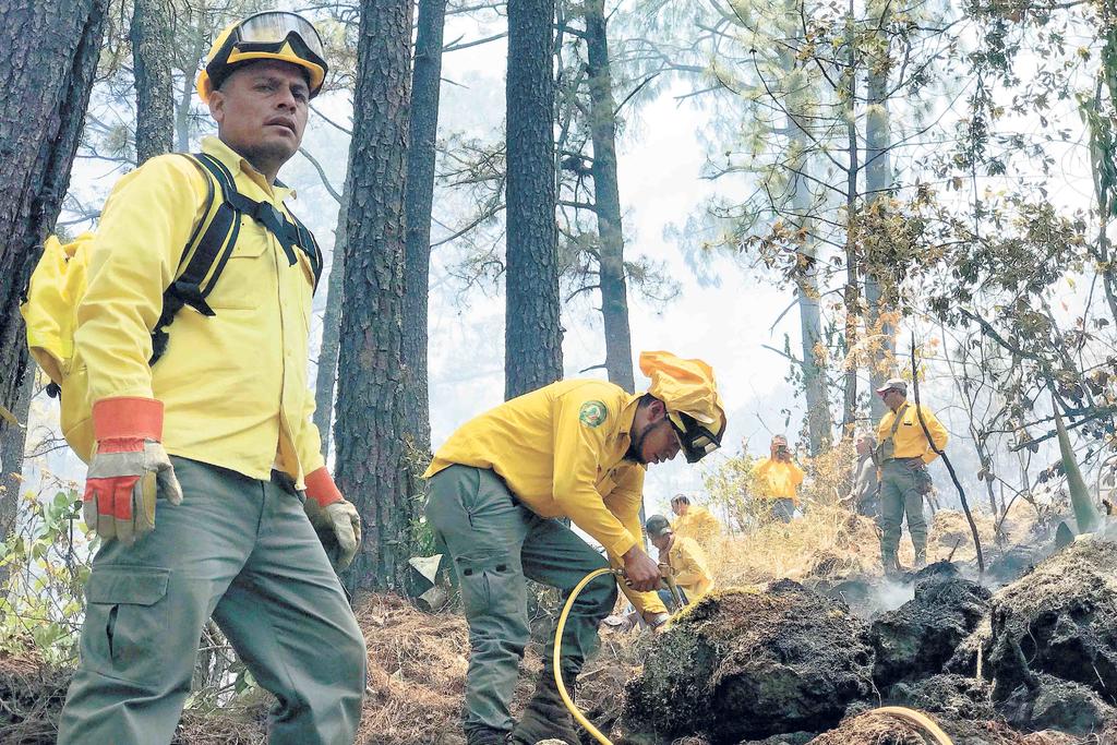 Durante las tareas para sofocar diversos incendios forestales que se han registrado a lo largo y ancho del país este año, han perdido la vida 17 combatientes, informó el gerente de Conafor, Eduardo Cruz. (ARCHIVO)