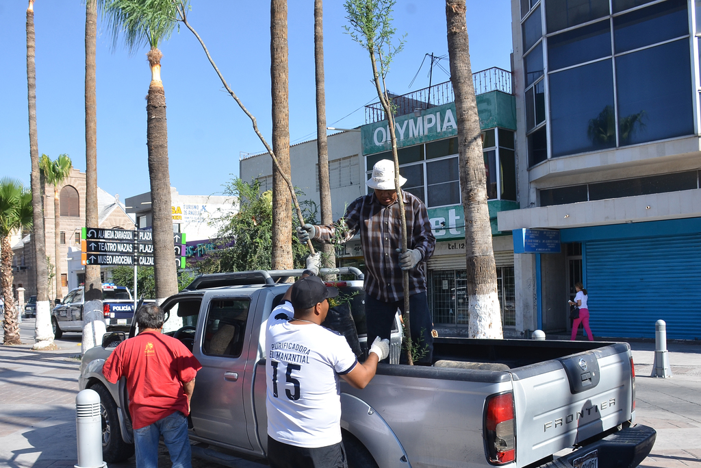 Se invitó a organismos empresariales a la campaña para mejorar la Imagen Urbana, pero no a comerciantes de la Morelos. (FERNANDO COMPEÁN)